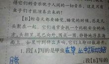 拟人句一段话