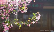 致小学毕业的个性签名