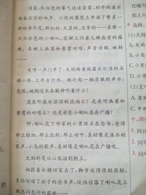 五十个拟人化的句子