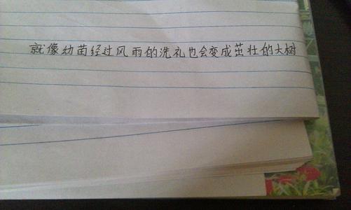 用太阳写隐喻