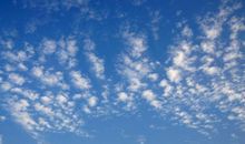 播种棉花的谚语