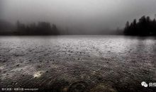 关于夜雨的句子