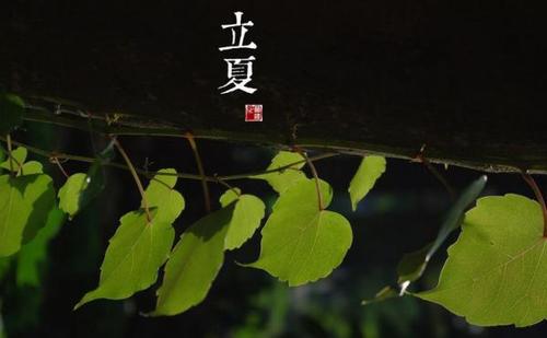 丽霞简单的愿望