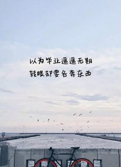 小学毕业季判决