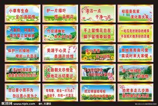 校园环境口号