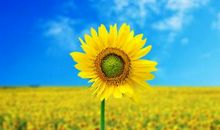 精选21句文艺唯美励志的句子