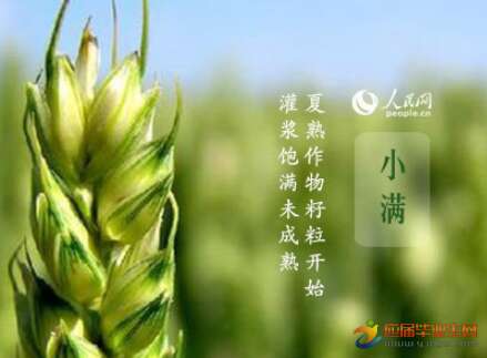 民间谚语大全