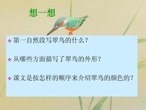 描述翠鸟行动的陈述