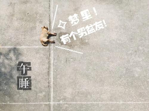 文学虚伪句子