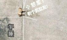 文艺矫情的句子