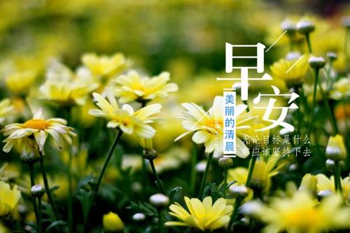 早安爱语