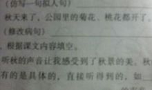 150句拟人句