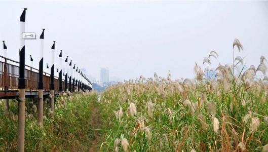 关于里德的寓言