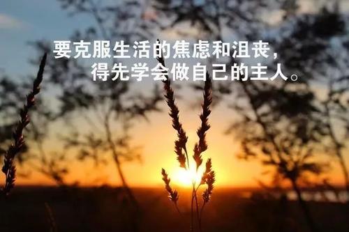 一句话摧毁灵魂鸡汤