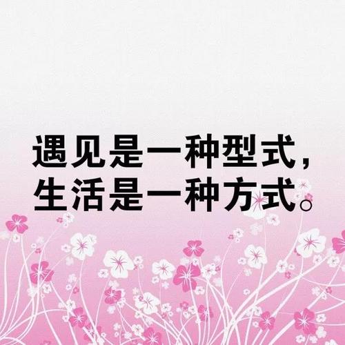 朋友圈中的片刻