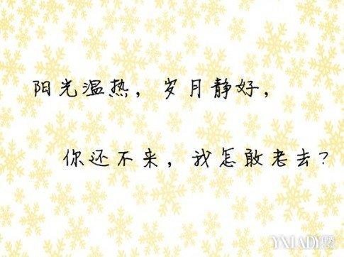 浪漫爱情语录