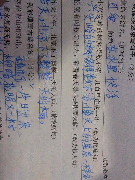 50个字符