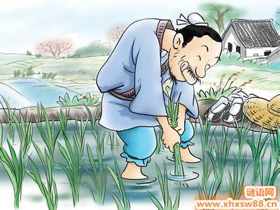 朱八姐掉在镜子后面