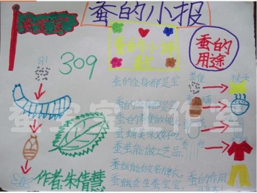 关于蚕的谚语