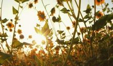 姐妹相聚开心的句子_我要说说网 姐妹相聚开心的句子短句