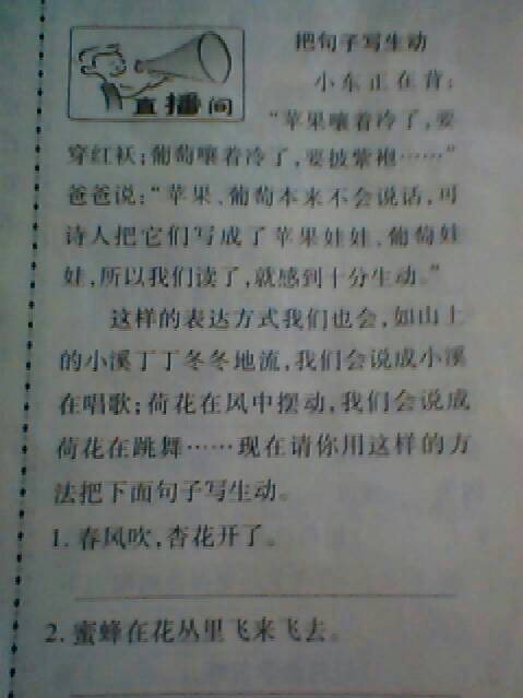 100个拟人化句子