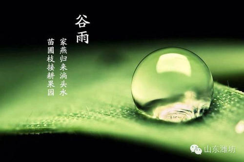 茶谚语