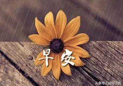 早上谈一谈