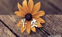 早上朋友圈说说