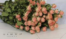 描写开心时脸部表情的句子 描写脸上高兴表情的句子