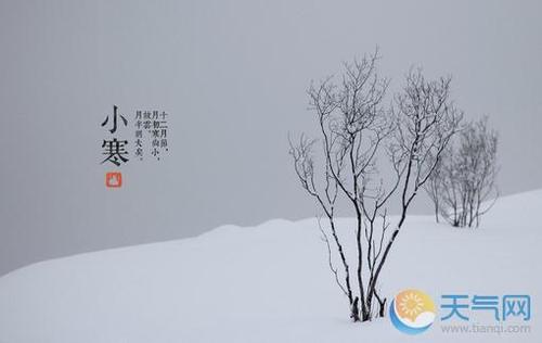 关于树的诗