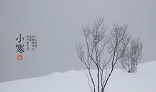 关于描写树的诗句