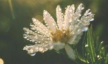 元气满满的句子