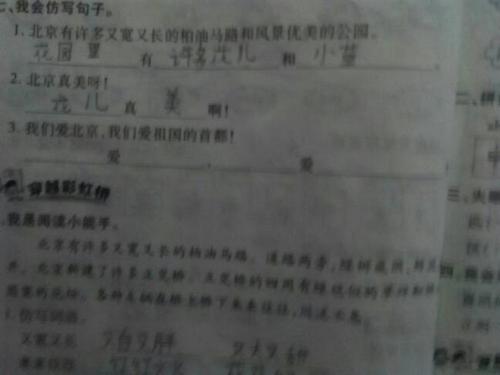 假句子