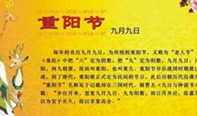 描写社会的谚语