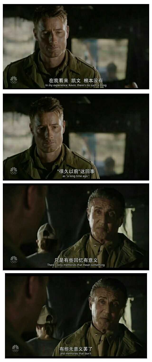 史泰龙行情