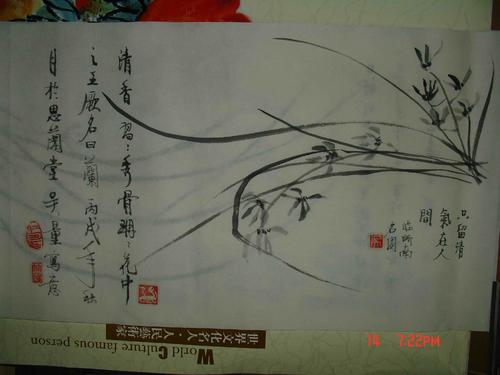 用兰花写隐喻