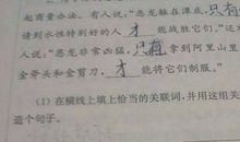 只有_才造句大全