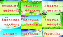 法制宣传月口号