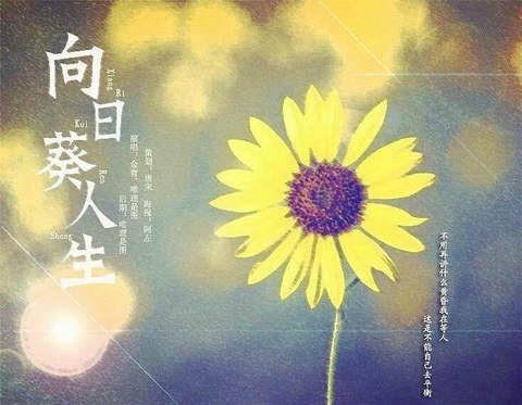 哲学理论