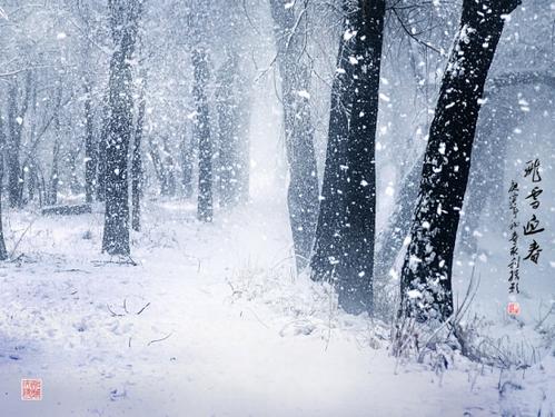 描述飞雪的寓言