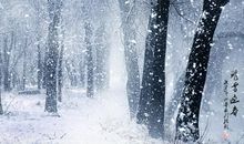 形容飞雪比喻句