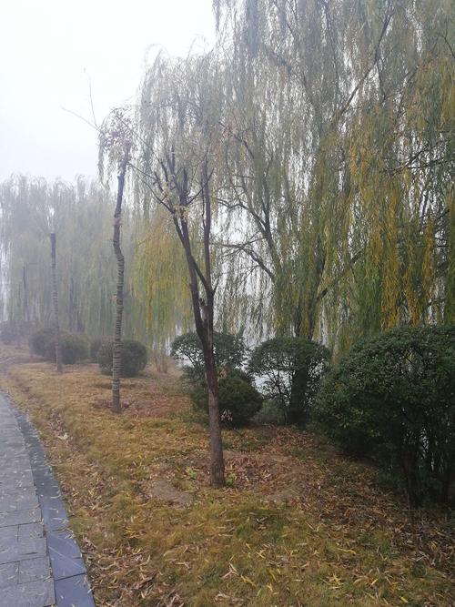 写东雨的隐喻