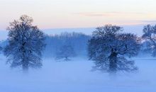 描写雪唯美句子