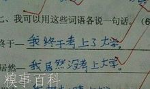 既不也不小学生造句大全