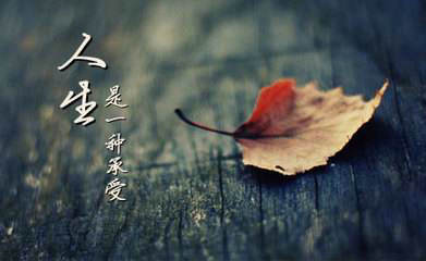 关于生活感知的完整句子[149句] 1