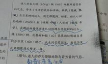 100条拟人句