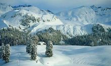 冬天像什么比喻句