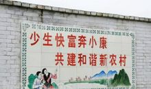 农村环境综合整治标语