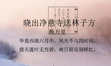 描写夏天夜晚的诗句