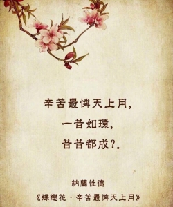 纳兰词经典
